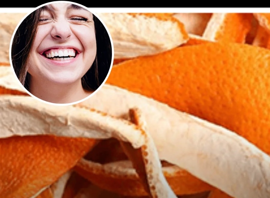 New Harvard Study Reveals the Real Cause of Slow Metabolism After Age 35